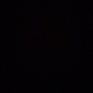 Meet your Posher, Stella